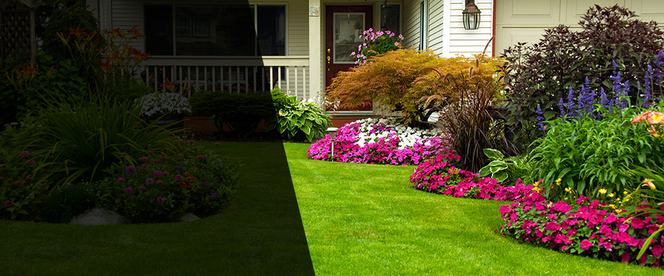 Newport Coast Landscapers